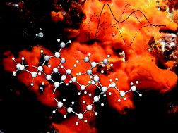 Graphical abstract: Additional bioactive guanidine alkaloids from the Mediterranean sponge Crambe crambe