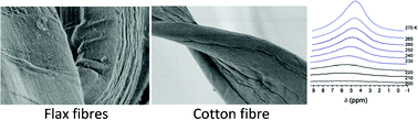 Graphical abstract: A comparative study of air-dry and water swollen flax and cotton fibres