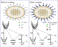 Graphical abstract: Remarkable fluorescence enhancement in YVO4:Eu3+@Ag nano-hybrids induced by interface effect