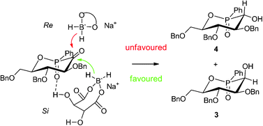 Graphical abstract: Dramatic effect of modified boranes in diastereoselective reduction of chiral cyclic α-ketophosphinates