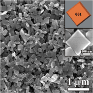 Graphical abstract: Carbonate ions-assisted syntheses of anatase TiO2 nanoparticles exposed with high energy (001) facets