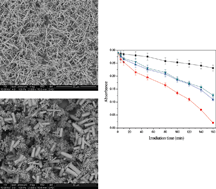 Graphical abstract: Controllably hierarchical growth of large-scale ZnO microrods