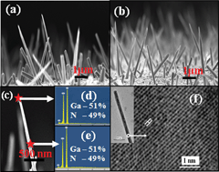 Graphical abstract: Interplay of VLS and VS growth mechanism for GaN nanowires by a self-catalytic approach