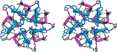 Graphical abstract: Computational design by evolving folds and assemblies over the alphabet in l- and d-α-amino acids