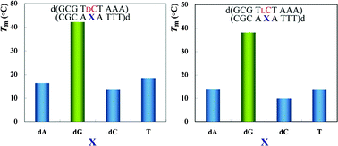 Graphical abstract: Base recognition by l-nucleotides in heterochiral DNA