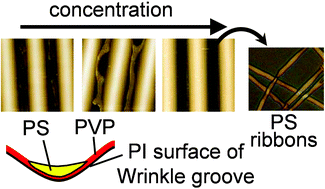 Graphical abstract: Phase-separated binary polymers spin coated onto microwrinkles