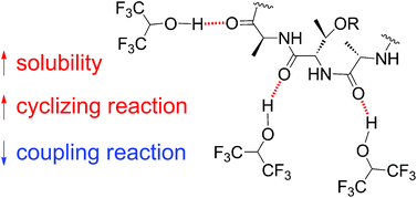 Graphical abstract: H-bonding promotion of peptide solubility and cyclization by fluorinated alcohols