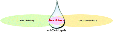 Graphical abstract: Ionic liquids designed for advanced applications in bioelectrochemistry