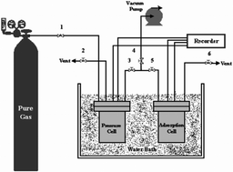 Graphical abstract: Equilibria and kinetics of natural gas adsorption on multi-walled carbon nanotube material