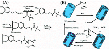Graphical abstract: Polymer brushes assisted loading of high density CdS/CdSe quantum dots onto TiO2 nanotubes and the resulting photoelectric performance