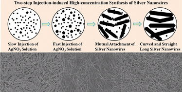 Graphical abstract: Rapid controllable high-concentration synthesis and mutual attachment of silver nanowires