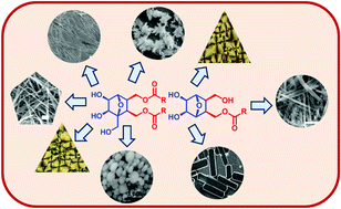 Graphical abstract: Oxanorbornane-based amphiphilic systems: design, synthesis and material properties