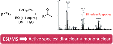 Graphical abstract: ESI-MS mechanistic studies of Wacker oxidation of alkenes: dinuclear species as catalytic active intermediates
