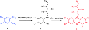 Graphical abstract: A two-step synthesis of 7,8-dichloro-riboflavin with high yield