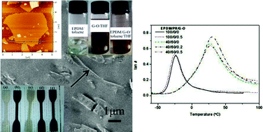 Graphical abstract: Effects of graphene oxide on surface energy, mechanical, damping and thermal properties of ethylene-propylene-diene rubber/petroleum resin blends