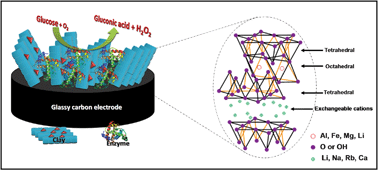 Graphical abstract: Amine-intercalated montmorillonite matrices for enzyme immobilization and biosensing applications