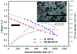 Graphical abstract: An all perovskite direct methanol solid oxide fuel cell with high resistance to carbon formation at the anode