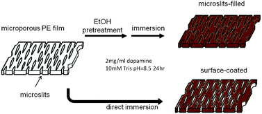 Graphical abstract: Facile preparation of a robust and flexible antioxidant film based on self-polymerized dopamine in a microporous battery separator
