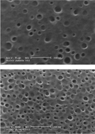 Graphical abstract: Nanocellular foaming of fluorine containing block copolymers in carbon dioxide: the role of glass transition in carbon dioxide