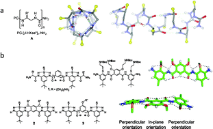 Graphical abstract: Antimicrobial macromolecules: synthesis methods and future applications