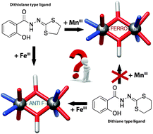 Graphical abstract: Mononuclear and dinuclear complexes of manganese(iii) and Iron(iii) supported by 2-salicyloylhydrazono-1,3-dithiane ligand: synthesis, characterization and magnetic properties