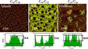 Graphical abstract: Different types of phase separation in binary monolayers of long chain alkyltrichlorosilanes on silicon oxide