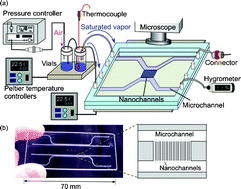 Graphical abstract: Direct measurements of the saturated vapor pressure of water confined in extended nanospaces using capillary evaporation phenomena