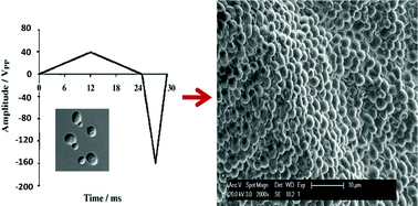 Graphical abstract: Electrophoretic deposition under modulated electric fields: a review