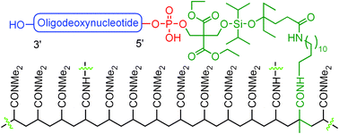 Graphical abstract: Synthetic 5′-phosphorylated oligodeoxynucleotide purification through catching full-length sequences by polymerization