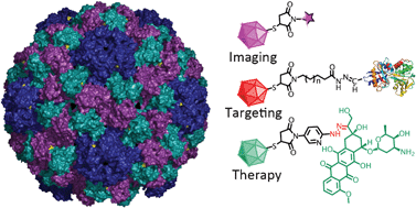 Graphical abstract: Engineering of Brome mosaic virus for biomedical applications