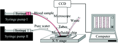 Graphical abstract: A microfluidic platform for osmotic fragility test of red blood cells