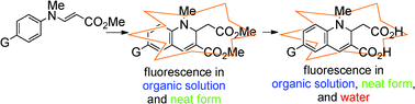 Graphical abstract: Synthesis and fluorescence properties of N-methyl-1,2-dihyroquinoline-3-carboxylate derivatives: light-emitting compounds in organic solvent, in neat form, and in water