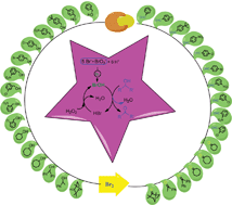 Graphical abstract: Green bromine: in situ generated catalyst for the selective oxidation of alcohols using H2O2 as a benign oxidant