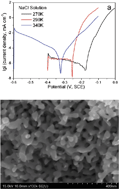 Graphical abstract: Influence of anion species on electrochemical dealloying of single-phase Al2Au alloy in sodium halide solutions