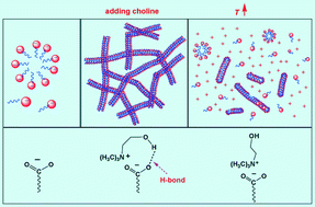Graphical abstract: “Green” anionic wormlike micelles induced by choline