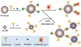 Graphical abstract: Paper-based fluoroimmunoassay for rapid and sensitive detection of antigen