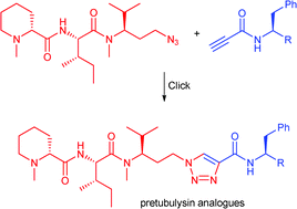 Graphical abstract: A straightforward click-approach towards pretubulysin-analogues