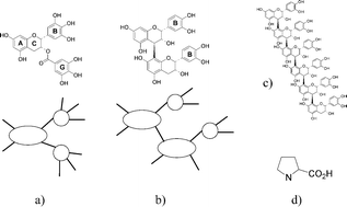 Graphical abstract: Kinetics of the formation of β-casein/tannin mixed micelles