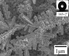 Graphical abstract: Superhydrophobic self-assembled monolayers of long-chain fluorinated imidazolium ionic liquids