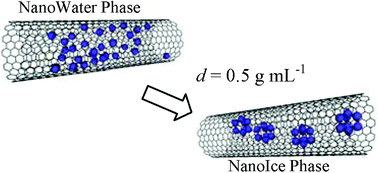 Graphical abstract: Predominant nanoice growth in single-walled carbon nanotubes by water-vapor loading