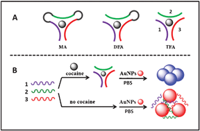 Graphical abstract: Highly specific triple-fragment aptamer for optical detection of cocaine