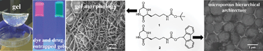 Graphical abstract: Hydrogen bond directed self-assembly of cyclic dipeptide derivatives: gelation and ordered hierarchical architectures