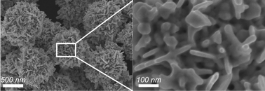 Graphical abstract: Rapid synthesis of biocompatible gold nanoflowers with tailored surface textures with the assistance of amino acid molecules