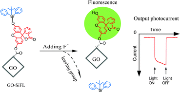 Graphical abstract: A nanohybrid of graphene oxide–fluorescein derived silyl ether for photocurrent generation triggered by F− ions