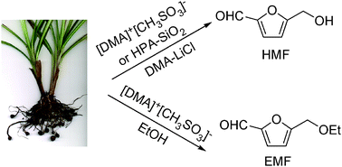 Graphical abstract: Solid-acid and ionic-liquid catalyzed one-pot transformation of biorenewable substrates into a platform chemical and a promising biofuel