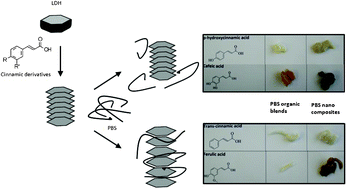 Graphical abstract: Functionalisation of polybutylene succinate nanocomposites: from structure to reinforcement of UV-absorbing and mechanical properties