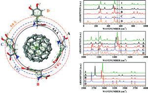 Graphical abstract: Four-level levodopa adsorption on C60 fullerene for transdermal and oral administration: a computational study