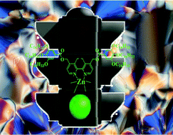Graphical abstract: “Green light” for Zn(ii) mesogens