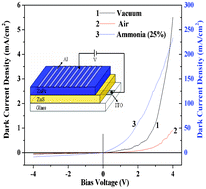 Graphical abstract: Nanostructured organic–inorganic heterojunction diodes as gas sensors