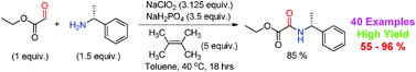 Graphical abstract: Metal-free pinnick-type oxidative amidation of aldehydes